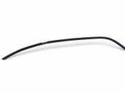 Türgummi rechts vorne Renault Trafic II Kasten (FL)