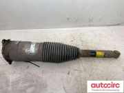 Gasdruckfeder Tesla Model S (5YJS) 600635304B