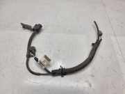 Kabelbaum Renault Koleos II (HC) 240M62222R