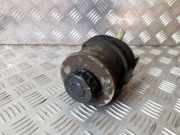 Behälter Servolenkungspumpe OPEL VIVARO Furgon (F7) 1.9 DTI 7700782884