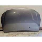 Motorhaube SUZUKI SX4 (EY, GY) 1.5 (RW 415)