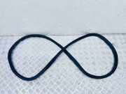 Türdichtung BMW 5er (G30, F90) 7381326