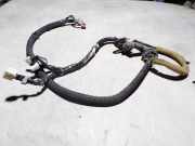 Kabelbaum NISSAN X-TRAIL (T31) 2.0 dCi 24052JG01A