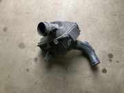 Luftfilterkasten NISSAN X-TRAIL (T31) 2.0 dCi JG700
