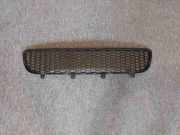 Gitter vorne unten FIAT 500 C (312_) 1.4 53250383