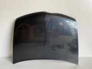 Motorhaube RENAULT VEL SATIS (BJ0_) 2.0 dCi (BJ03)