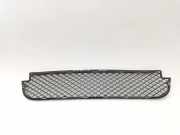 Kühlergrill unten BMW X3 (E83)