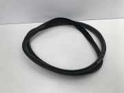 Türdichtung Tesla Model S (5YJS) 149767576