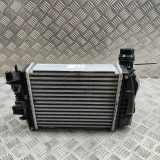 Ladeluftkühler NISSAN JUKE (F16) DIG-T 117 14461F270A 144961019R