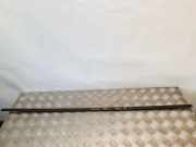 Türfensterleiste hinten rechts SEAT ALHAMBRA (7V8, 7V9) 1.9 TDI