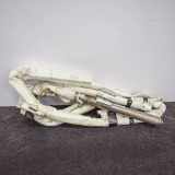 Dach SRS rechts VW TIGUAN (5N_) 2.0 TDI 308CDTD3487 3Y0421411287