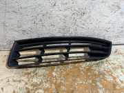 Gitter vorne unten VW PASSAT B6 (3C2) 1.9 TDI