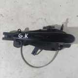 Türinnengriffrahmen hinten rechts