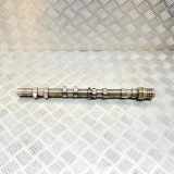 Auslassnockenwelle links MASERATI QUATTROPORTE VI 3.8 GT S 293219