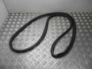 Zierleiste Renault Twingo III (BCM) 640