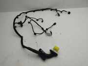 Türverkabelung hinten rechts