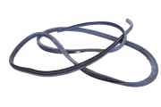 Türdichtungsgummi hinten links HYUNDAI H-1 Travel (TQ) 2.5 CRDi