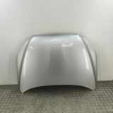 Motorhaube TOYOTA RAV 4 III (_A3_) 2.2 D 4WD (ALA30_) 53301-42070