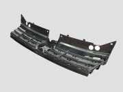 Vorderer oberer Gitter VW TIGUAN (AD1) 2.0 TDI 5NA853653