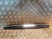 Gehäuse für Kennzeichenleuchte Mercedes-Benz R-Klasse (W251) 2517400593