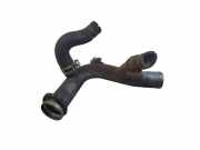 Schlauch Kühlung RENAULT KOLEOS I (HY_) 2.0 dCi 4x4 (HY0K)