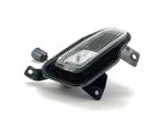 Nebelschlussleuchte links JAGUAR F-TYPE Coupe (X152) 2.0 i4 T2R19010