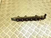 Einspritzleiste Nissan X-Trail II (T31) 0445214155