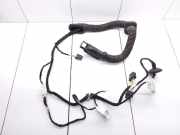 Türverkabelung hinten rechts MERCEDES-BENZ A (W176) A 180 CDI / d (176.012) A2465408109 A0005456443