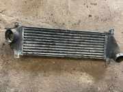 Ladeluftkühler MERCEDES-BENZ M (W163) ML 400 CDI (163.128) 02030601