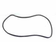 Türgummi rechts vorne BMW X6 (E71, E72) 4879469