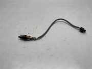Sauerstoffsensor (Lambdasensor) FORD USA MUSTANG Convertible 2.3 EcoBoost FL3T-9G444-AA