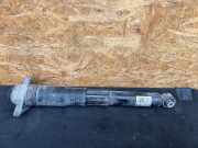 Stoßdämpfer hinten links AUDI Q4 SUV (F4B) 50 e-tron quattro 1EA512013