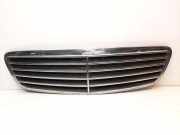 Gitter MERCEDES-BENZ S (W220) S 600 (220.878, 220.178) A2208800383
