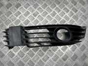 Kühlergrill unten VW Passat B5.5 (3B3) 05321451