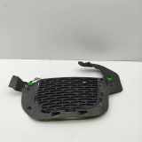 Gitter Grill vorne links LAND ROVER RANGE ROVER EVOQUE (L538) 2.0 D 4x4 GJ32-15A299-A
