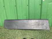 Seitentürleiste links RENAULT MASTER III Furgon (FV) 2.3 dCi 125 FWD (FV0C, FV0D) 908510003R