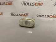 Kotflügelblinker vorne links RENAULT KANGOO (KC0/1_) 1.5 dCi (KC07) 4500736