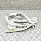 SRS Modul Dach links AUDI A7 Sportback (4GA, 4GF) 3.0 TDI quattro 4G8880741F