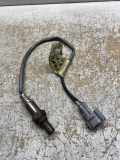Sauerstoffsensor (Lambdasensor) FIAT ULYSSE (220_) 1.9 TD 1491009022