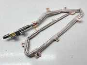 Dach SRS rechts PORSCHE PANAMERA (970) 3.6 4 97080309201