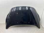 Motorhaube FORD C-MAX II (DXA/CB7, DXA/CEU) 1.6 TDCi