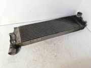 Ladeluftkühler Renault Grand Scenic II (JM) 8200115540