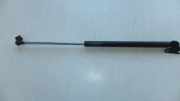 Heckklappe Gasdruckfeder links TOYOTA LAND CRUISER 100 (_J1_) 4.2 TD (HDJ100_)