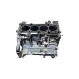 Motorblock FIAT DOBLO MPV (263_) 1.3 D Multijet 199A9000