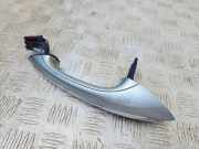Türaußengriff hinten links BMW 6 Gran Coupe (F06) 650 i 7305325