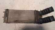 Ladeluftkühler PEUGEOT PARTNER Furgon (5) 1.6 HDi 75 IA1322