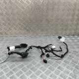 Türverkabelung hinten rechts AUDI Q4 SUV (F4B) 35 e-tron TAB010403ER