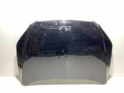 Motorhaube TOYOTA RAV 4 III (_A3_) 2.0 4WD (ZSA30_)