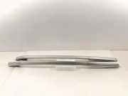 Griff Panoramadach Peugeot 2008 I () B23899