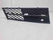 Kühlergrill unten BMW 5er (F10) 7200700